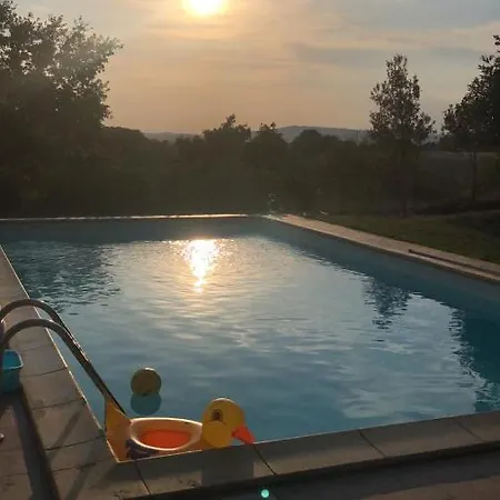 Il Gallo Della Checca Feriegård *