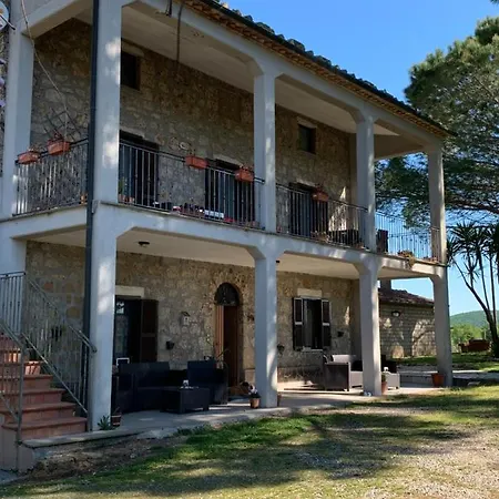 Il Gallo Della Checca