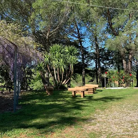 Il Gallo Della Checca *